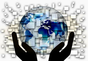 开云体育官网-中超球队年度控场人数分布与效果评估，中超球队人数限制